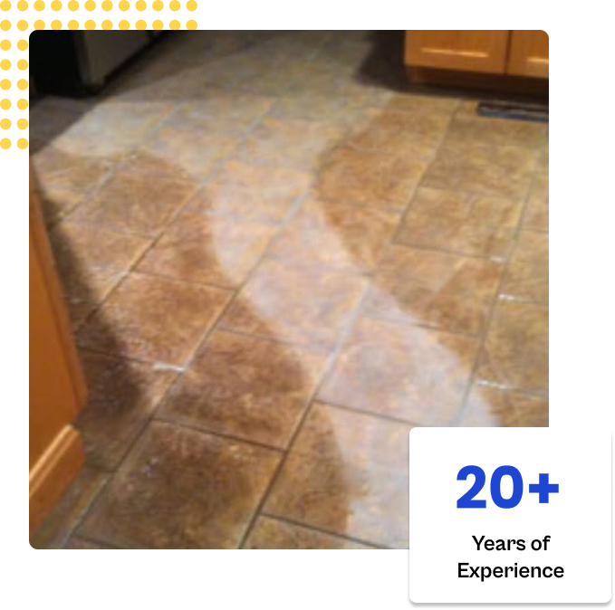 Tile and Grout Cleaning Service